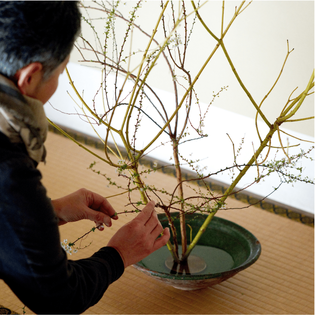 A Beginner’s Guide to Ikebana